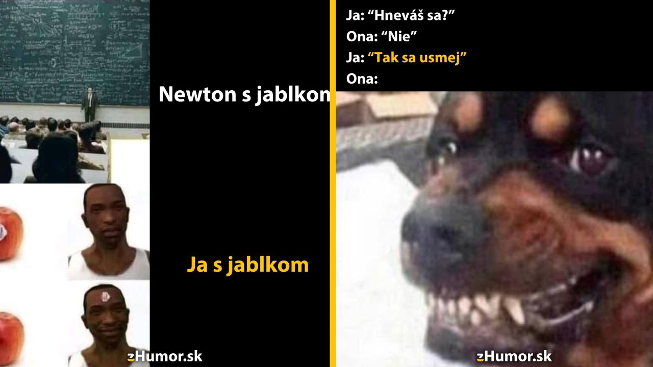 Na ľavej strane je muž s jablkom, na pravej strane pes s úsmevom; vtipná meme s Newtonom.