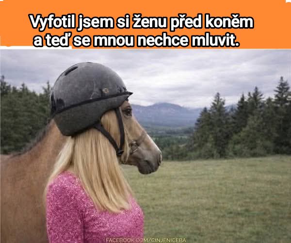 Žena s hlavou koňa na lúke s horami v pozadí, vtipný optický klam.