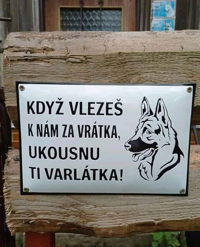 Výstražná tabuľa so psom na plote s nápisom: Když vlezeš k nám za vrátka, ukousnu ti varlátka!
