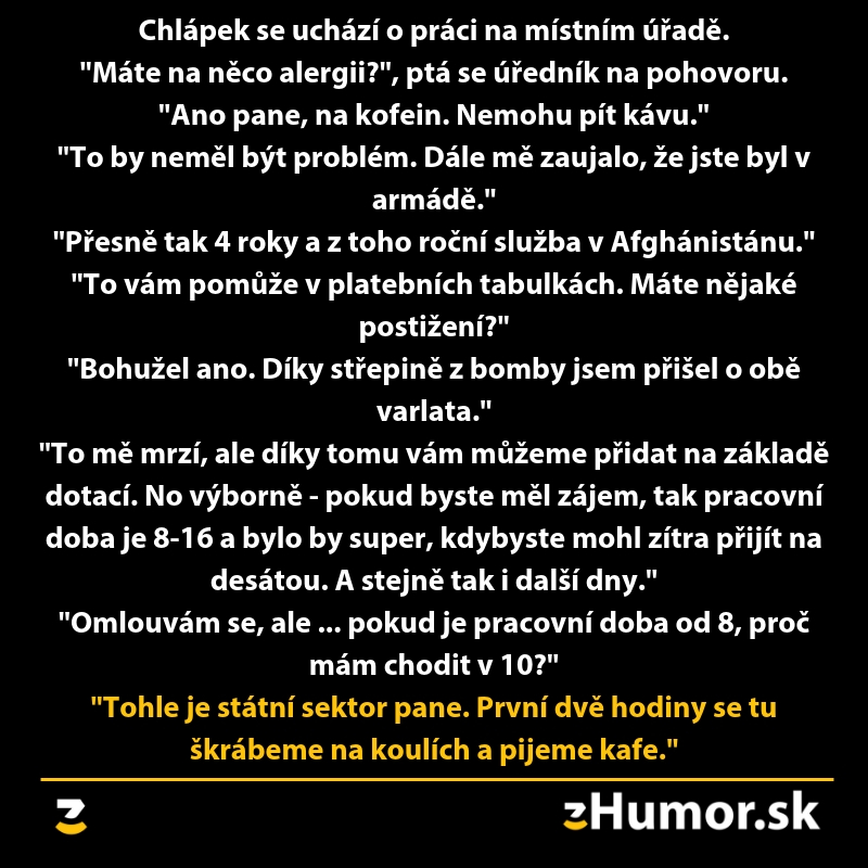 Vtipné interview otázky a odpovede o práci, výhodách a pracovnej dobe na štátnom úrade, zobrazujúce paradox rutiny.