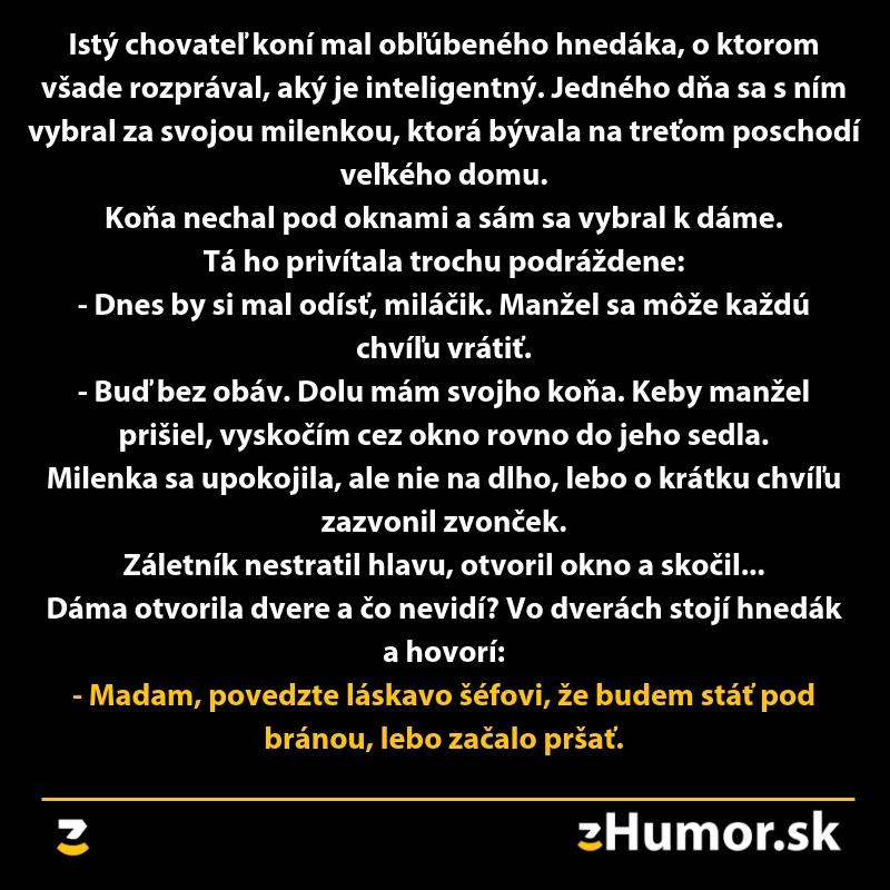 Vtipný príbeh o inteligentnom koni, ktorý pomáha milencovi uniknúť pred návratom manžela.