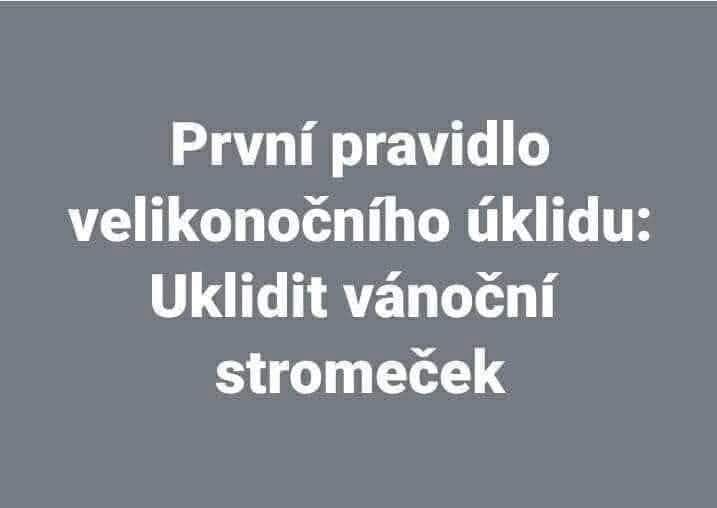 Prvé pravidlo veľkonočného upratovania: zbav sa starého vianočného stromčeka. Humorná pripomienka na čistenie.