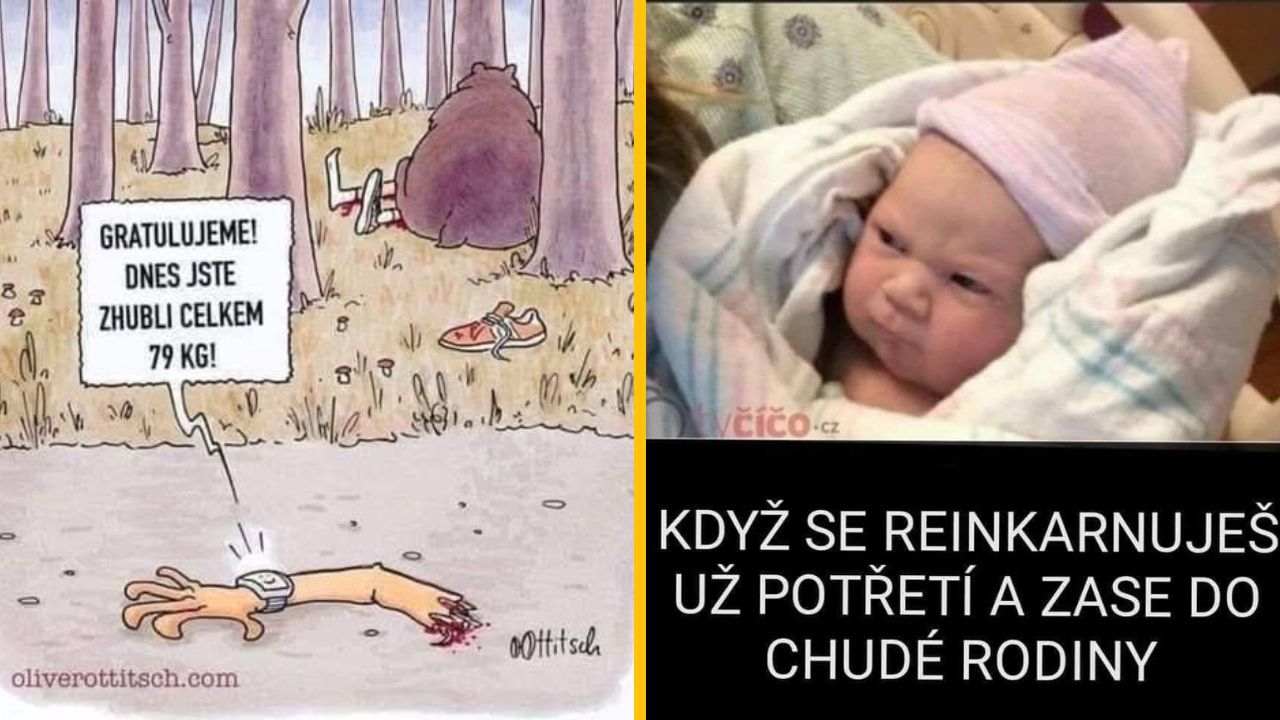 Medvedí útok v lese, vtipný komentár o chudnutí. Dieťa s nespokojným výrazom hľadiaci do sveta.