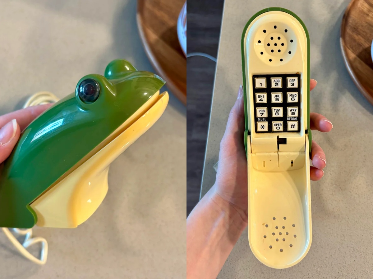 Retro telefón v tvare žaby s klávesnicou na vytáčanie, držiaci na svetlom povrchu.
