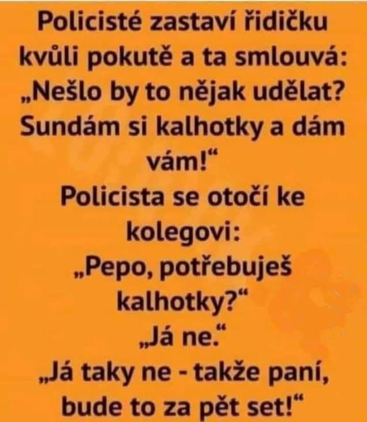 Neznáma žena ponúka policajtom spodnú bielizeň na urovnanie pokuty; rozhovor medzi policajtmi tú ponuku odmieta.