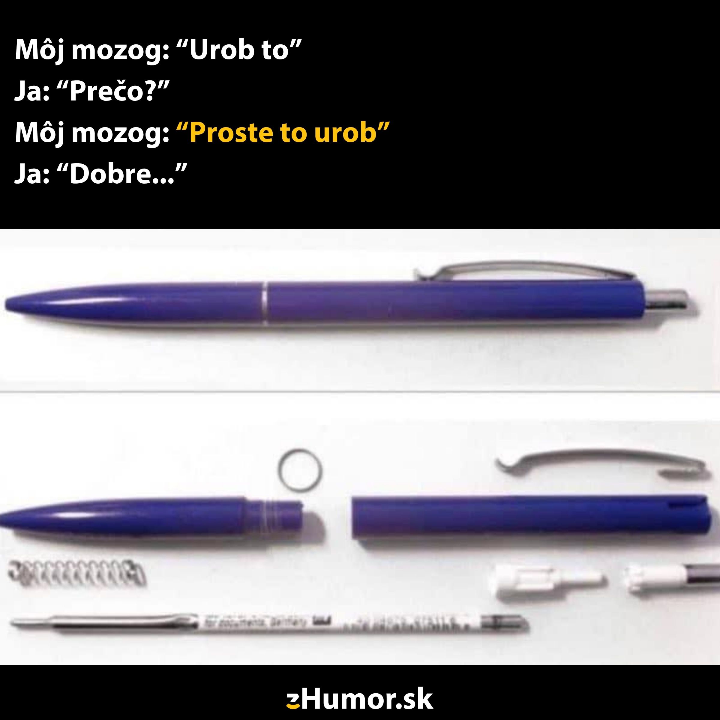 Rozobraté časti guľôčkového pera s humorným textom o impulzívnych rozhodnutiach.
