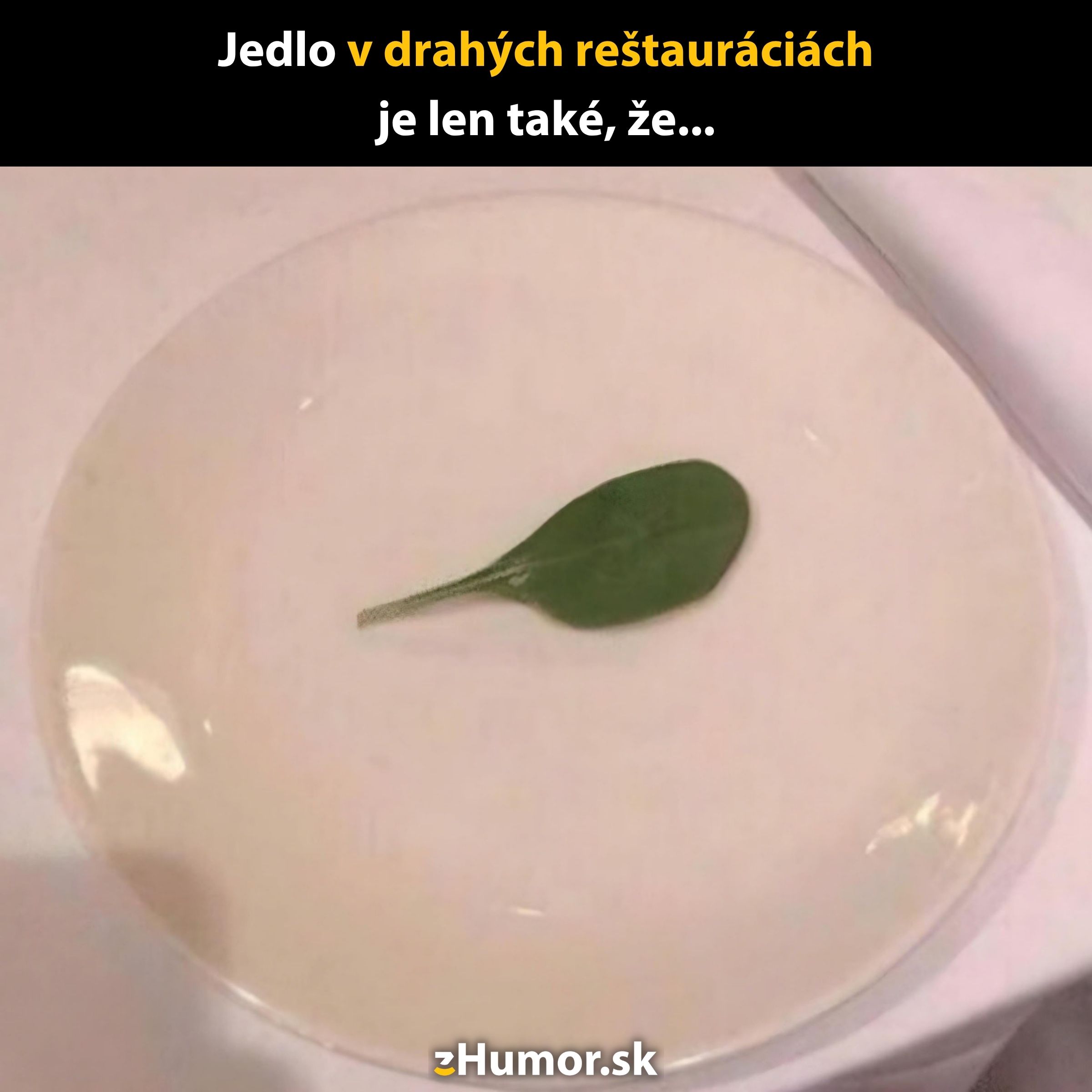 Tanier v luxusnej reštaurácii s jediným špenátovým listom ako hlavné jedlo.