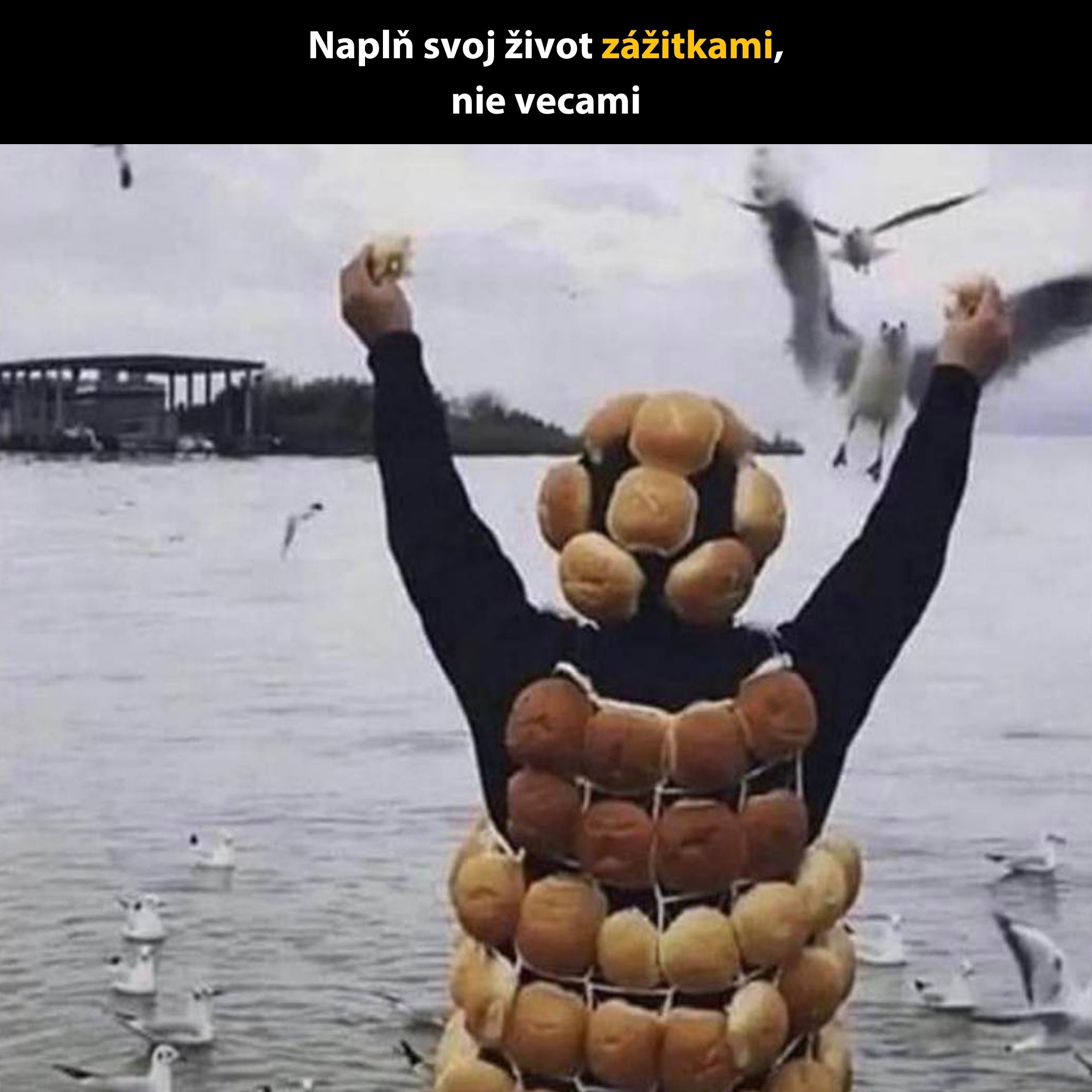 Osoba oblečená v žemliach kŕmi čajky pri vode s textom Napĺň svoj život zážitkami, nie vecami.