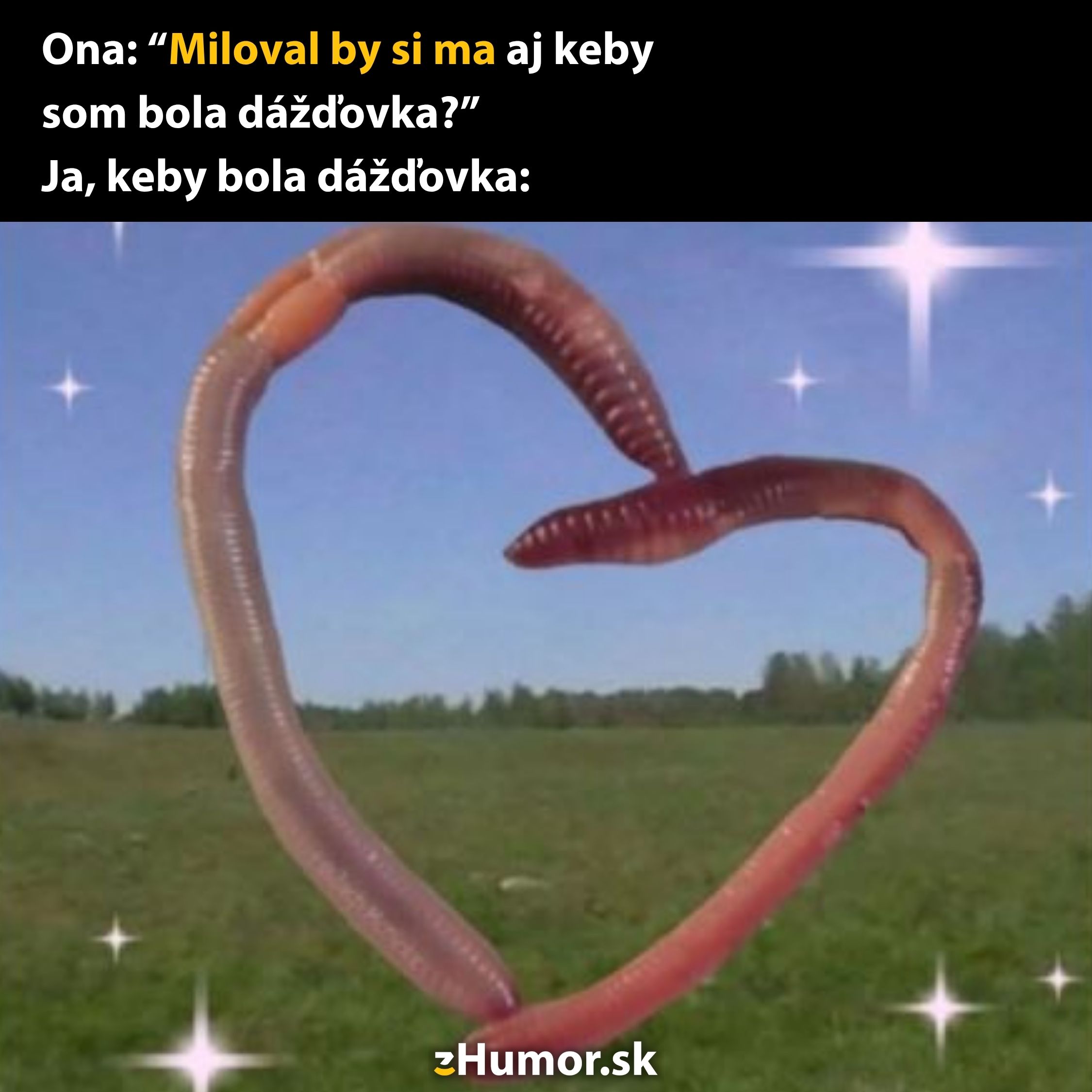 Dážďovka tvarujúca srdce na lúke, zábavný text o láske a dážďovkách, humor na obrázku.