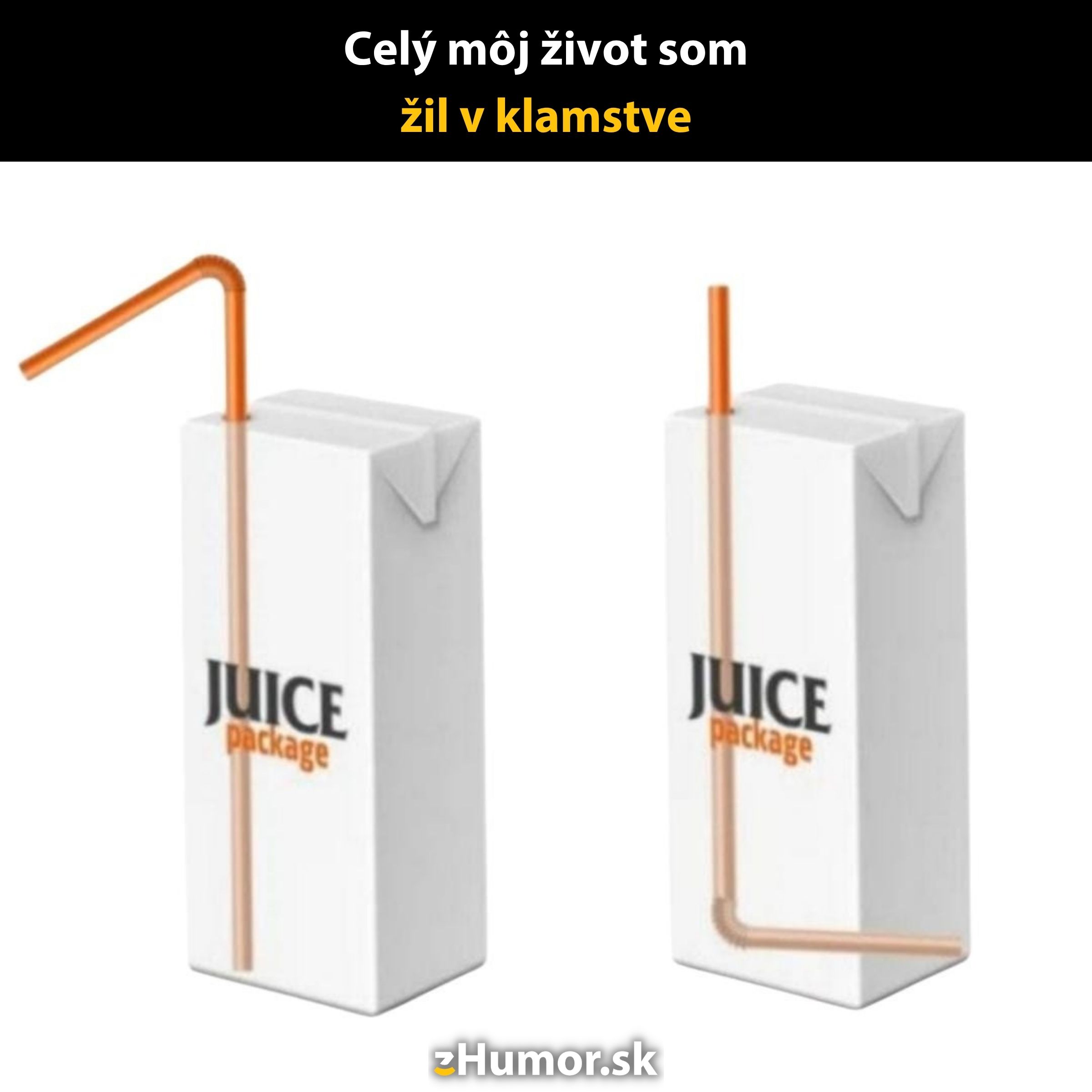 Obrázok dvoch džúsových krabičiek s rôzne orientovanými slamkami a textom Celý môj život som žil v klamstve.