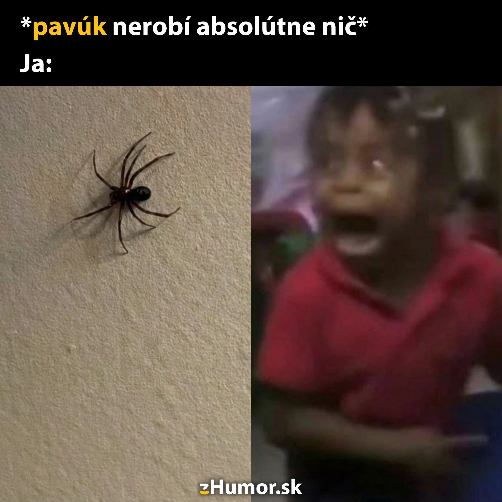 Pavúk na stene a vystrašený výraz dieťaťa. Humorná reakcia na prítomnosť pavúka.