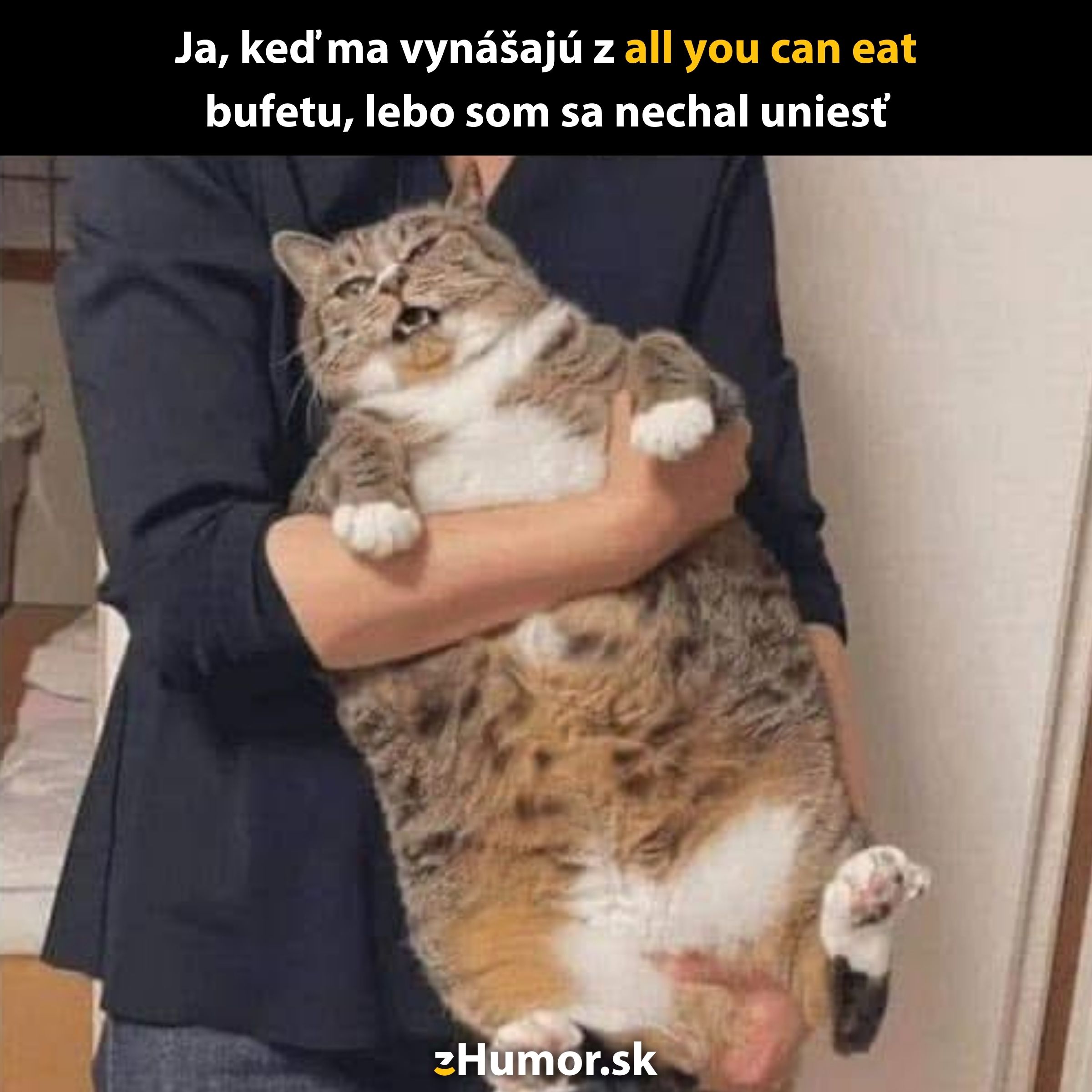 Osoba drží veľkú mačku, pripomínajúcu situáciu po návšteve bufetu all you can eat.