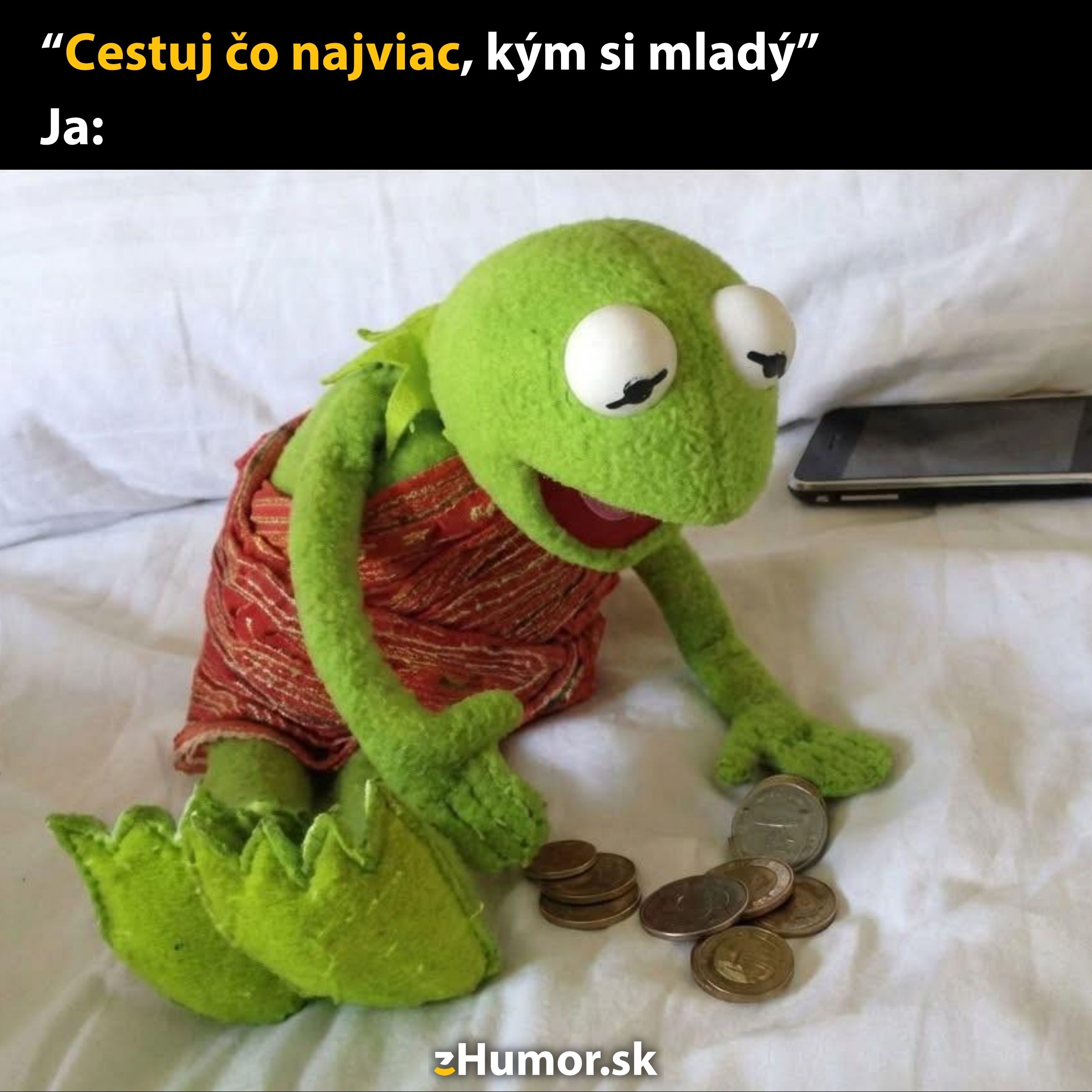 Žaba s mincami vyjadruje iróniu cestovania s obmedzeným rozpočtom, v popredí smiešne vyjadrenie mladosti.