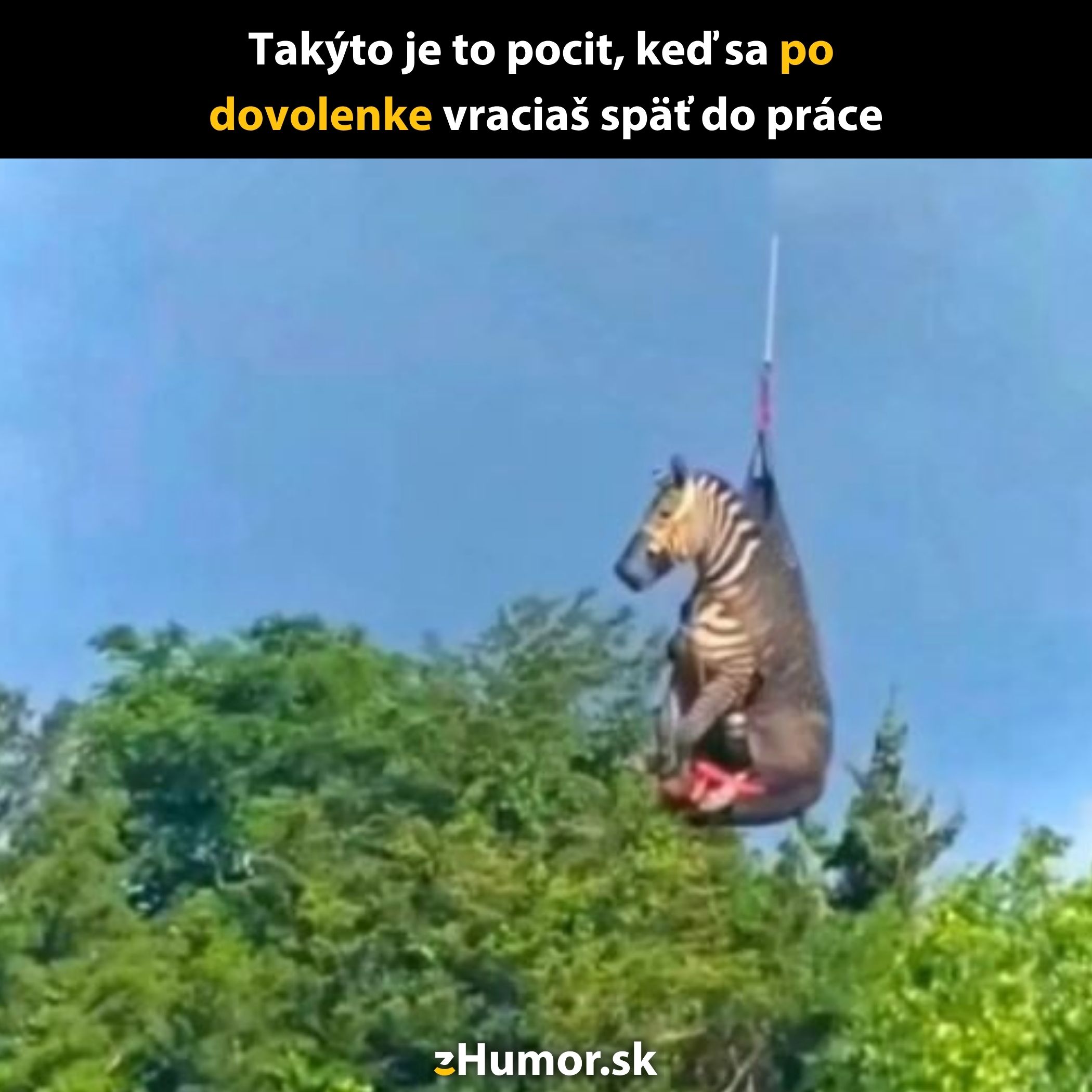 Zebra visiaca na lane nad lesom, predstavuje vtipný návrat do práce po dovolenke.