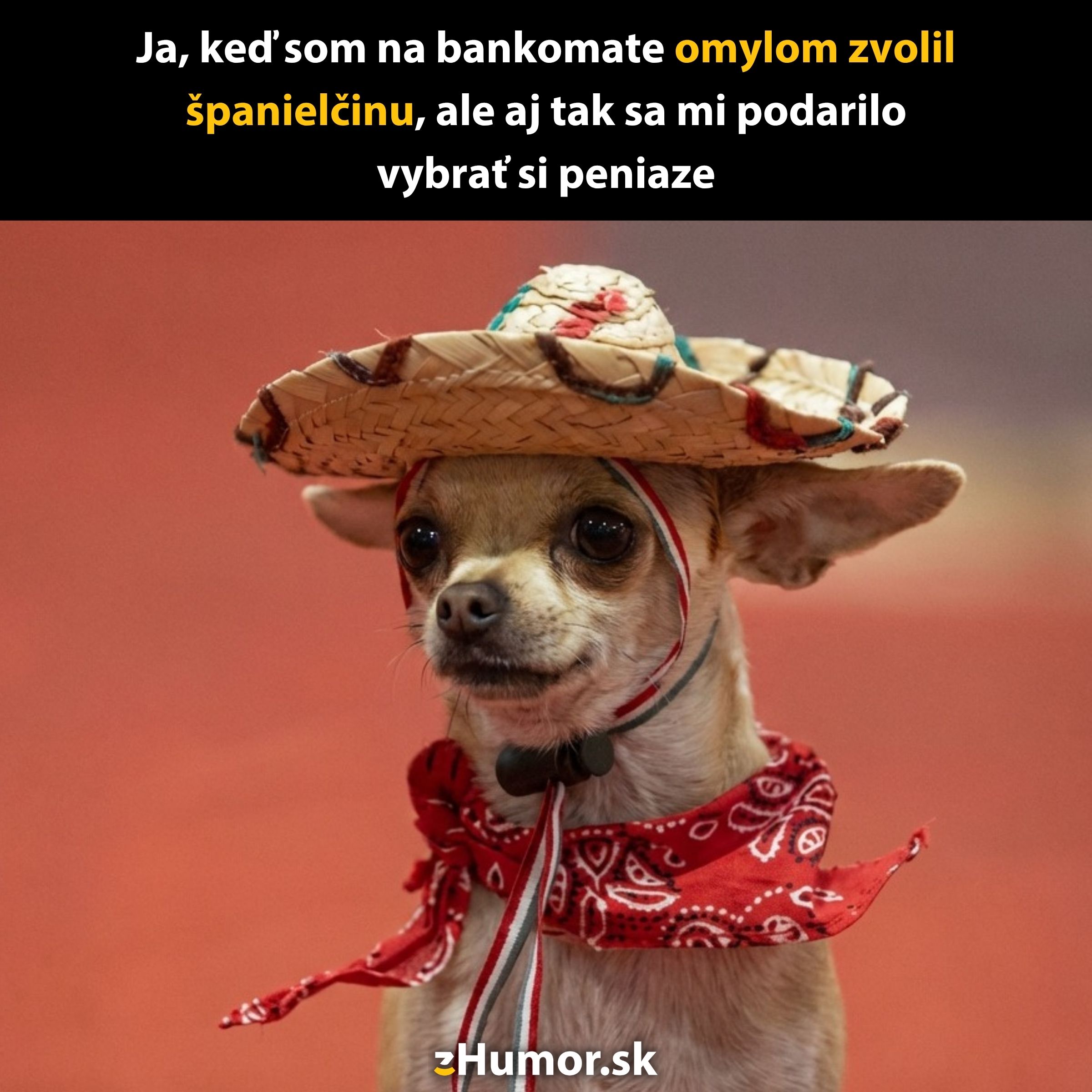 Pes s klobúkom a šatkou, pripomína španielskeho kovboja, vtipná situácia so španielčinou na bankomate.