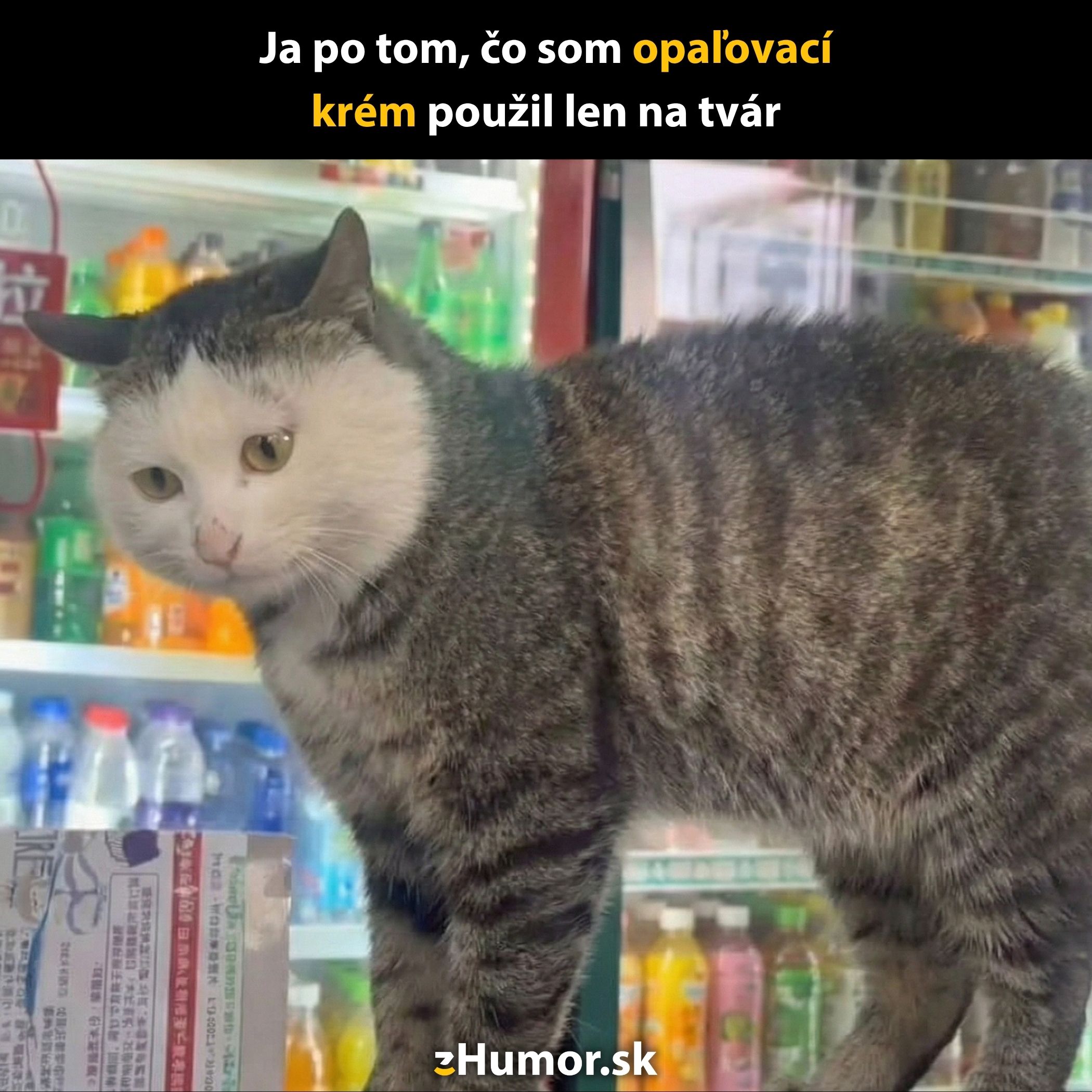 Kocúr s bielou tvárou stojí pred chladničkou s nápojmi, jeho postoj vyjadruje zábavnú podobu s opaľovacím krémom.
