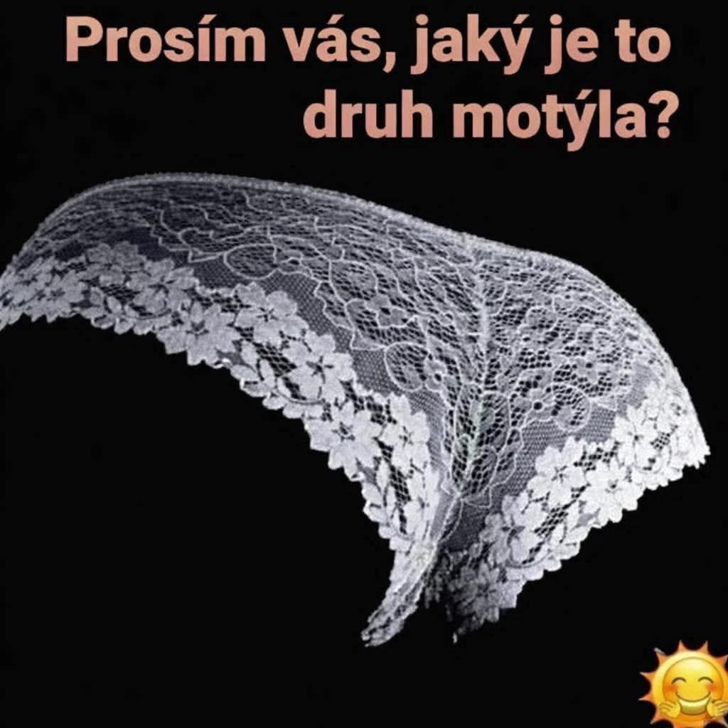 Čipkované nohavičky vtipne prirovnané k motýlím krídlam s textom: Prosím vás, jaký je to druh motýla?