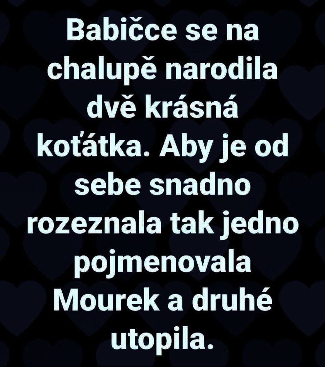 Žartovný text na tmavom pozadí s motívom dvoch mačiatok a nečakaným koncom.