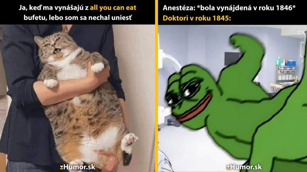Meme mačky a žabiaka o prejedaní a ére pred anestéziou s vtipnými kontrastmi na Humor.sk.