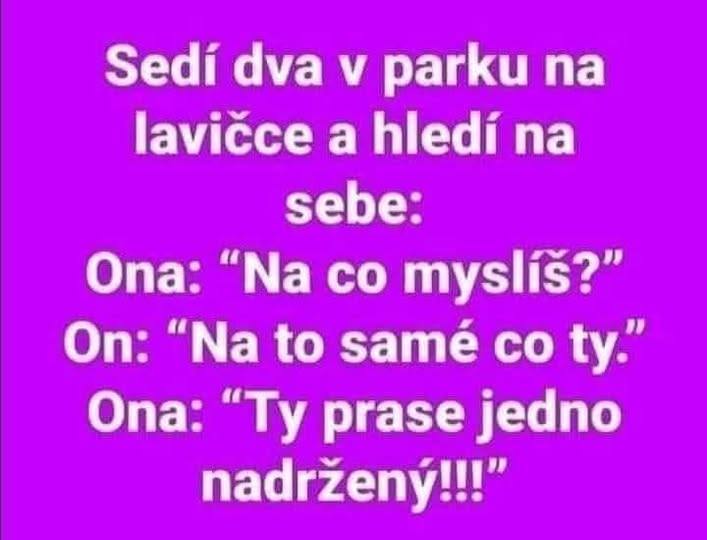 Dva ľudia v parku a vtipný dialóg o ich myšlienkach na lavičke.