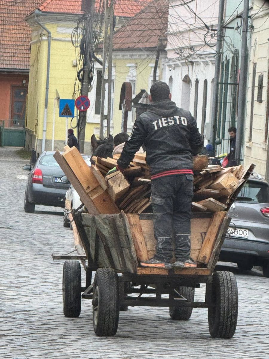 Osoba na voze ťahanom koňom plnom dreva v meste na dláždenej ulici, oblečená v bunde s nápisom Tiesto na chrbte.