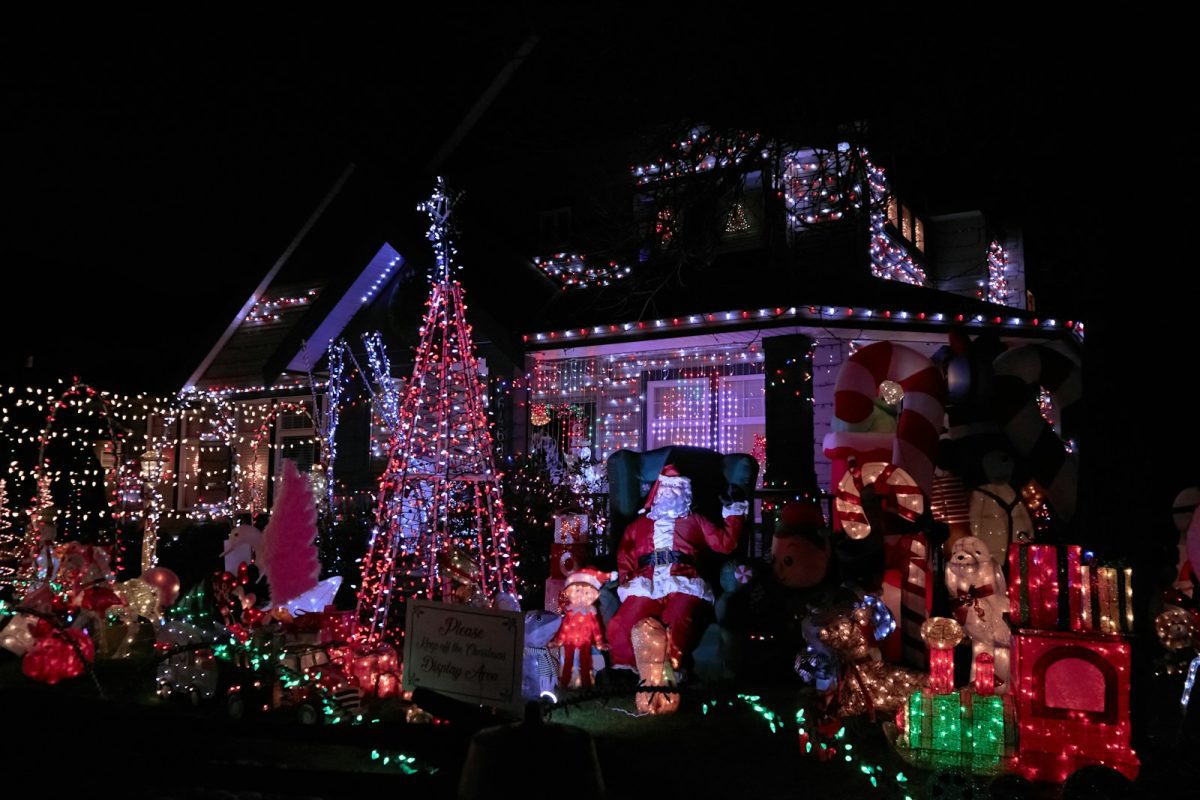 House decorated with christmas lights and figures at night