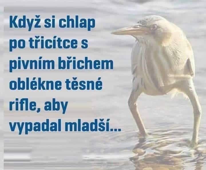 Smiešny vták na vode s textom o mužovi po tridsiatke, čo nosí tesné rifle, aby pôsobil mladšie.