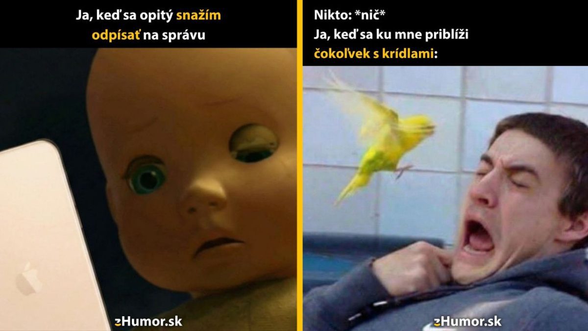 Kombinácia humorného obrázku s bábikou a vystrašeným mužom pri kontakte s vtákom.