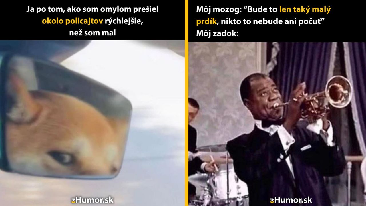 Pes v aute v spätnom zrkadle a hudobník s trúbkou, humorný kontrast reakcií pod stresom.