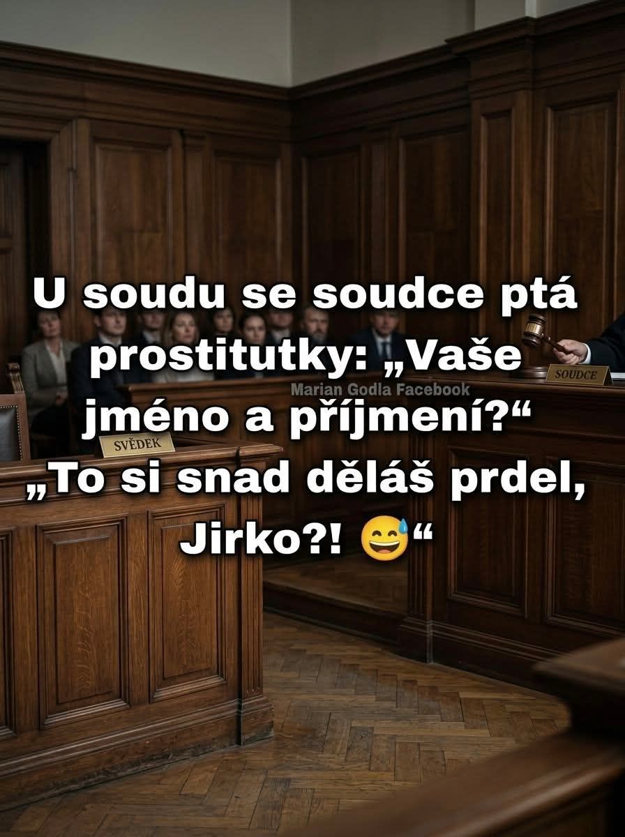 Sudca vtip, súdny vtip v češtine. Sudca sa vtipne pýta svedka, prekvapivá odpoveď. Pojednávanie, humor v súdnej sieni.