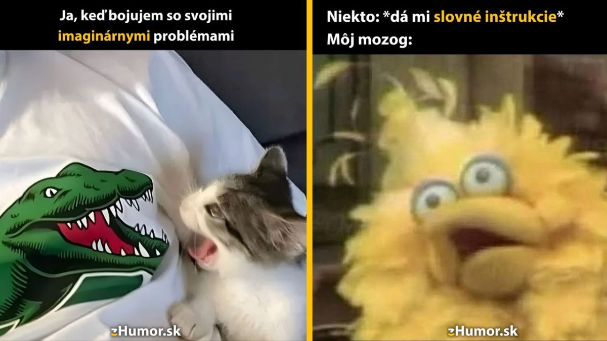 Mačka sa hrá s tričkom so vzorom dinosaura a vydesený žltý vták reaguje na slovné inštrukcie.
