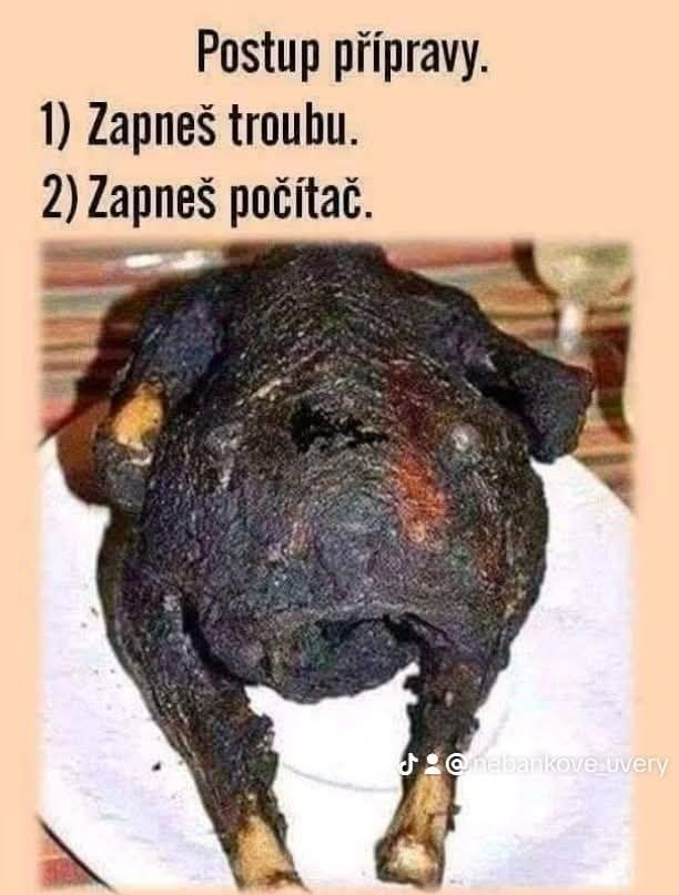 Humorný obrázok pripálenej pečenky s inštrukciami na prípravu: zapnúť rúru a počítač.