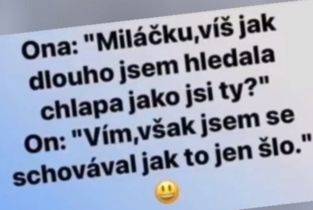 Vtipný rozhovor: Ona hľadala ideálneho muža, on sa skrýval. Úsmevný moment s humorom a emotikonom.