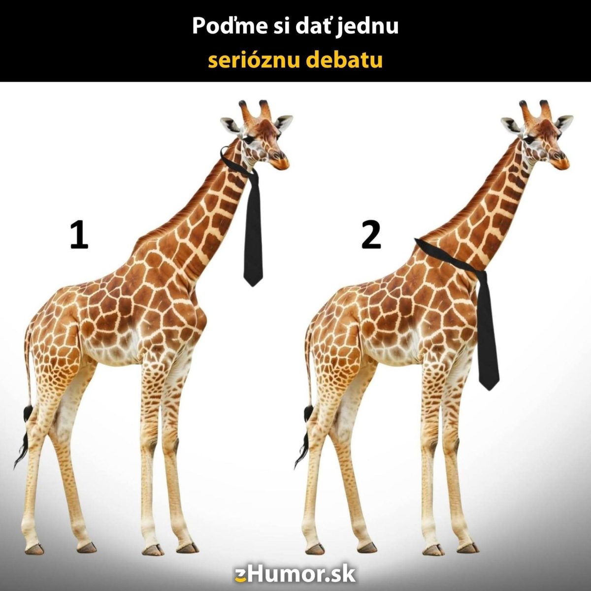 Žirafy s kravatami diskutujú, ktorá z nich nosí lepšie formálny outfit. Humorná situácia na bielej ploche.