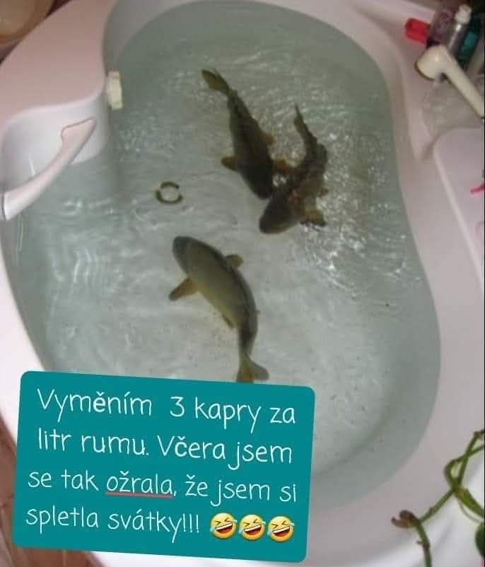 Kapor vo vani pripravený na výmenu za rum kvôli zábavnej sviatočnej chybe.
