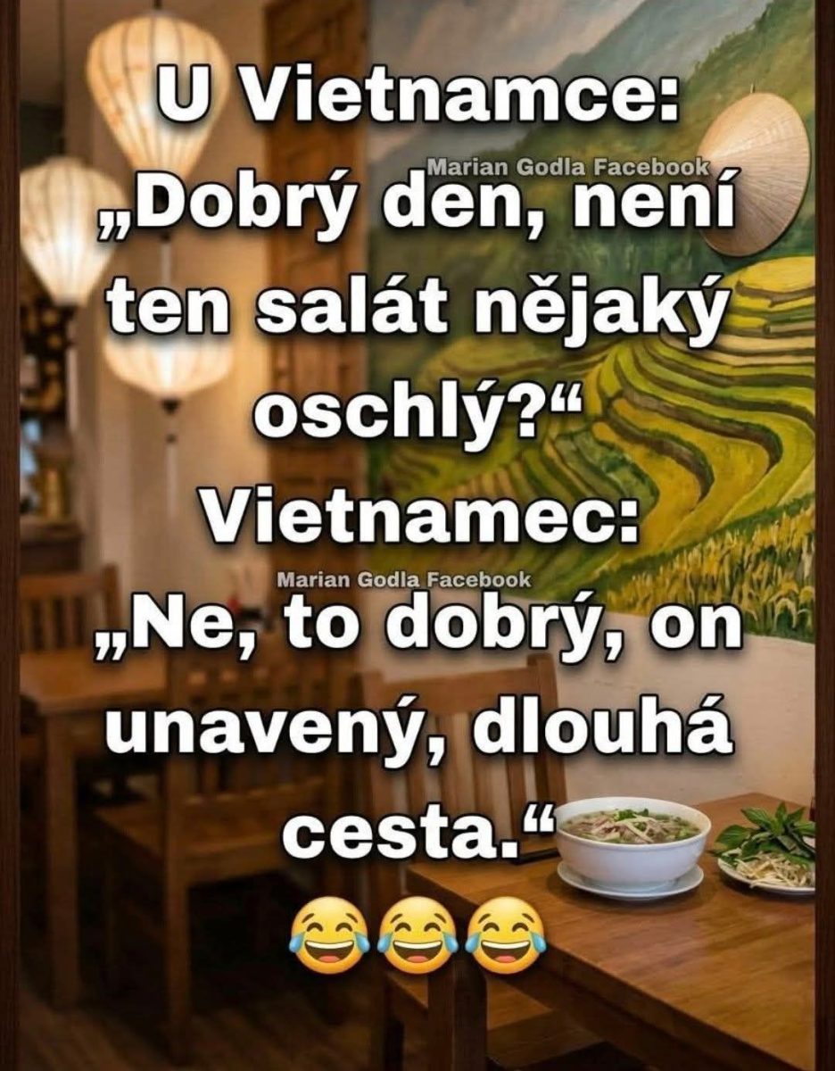 Vtipná situácia v reštaurácii: Zákazník sa pýta na vzhľad šalátu, čašník odpovedá s humorom.