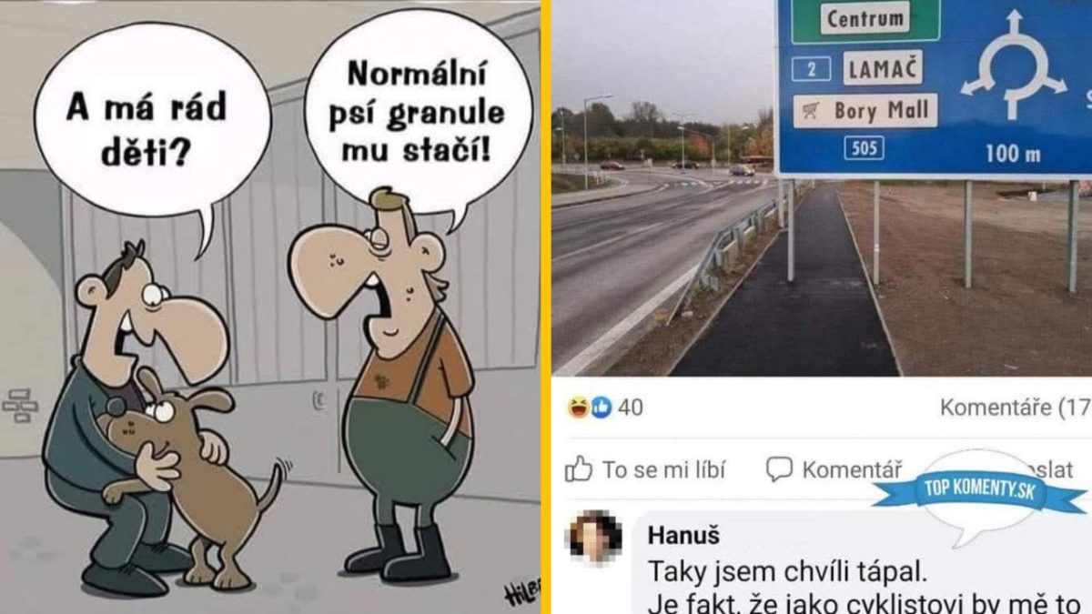 Kreslený vtip s rozhovorom o psoch a fotka križovatky z dopravného značenia s komentárom.