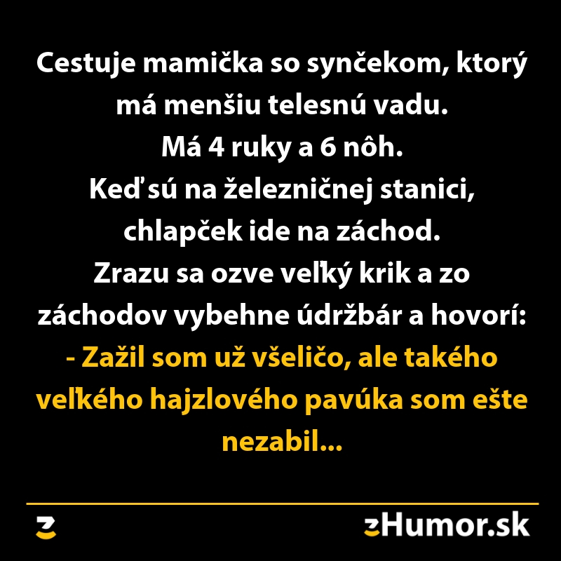 Vtipný text o synčekovi s extra končatinami na vlakovej stanici a údržbárovi komentujúcom hajzlového pavúka.