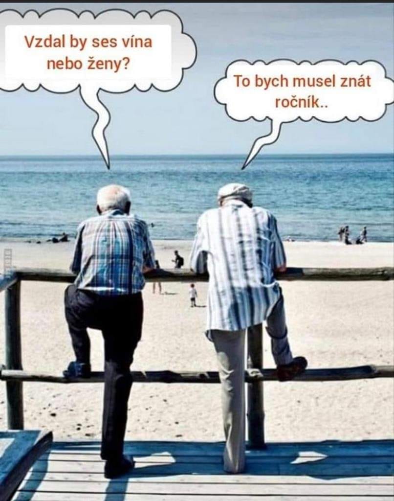 Dvaja muži na pláži vtipne debatujú o víne a ženách, s vtipnou poznámkou o ročníku.