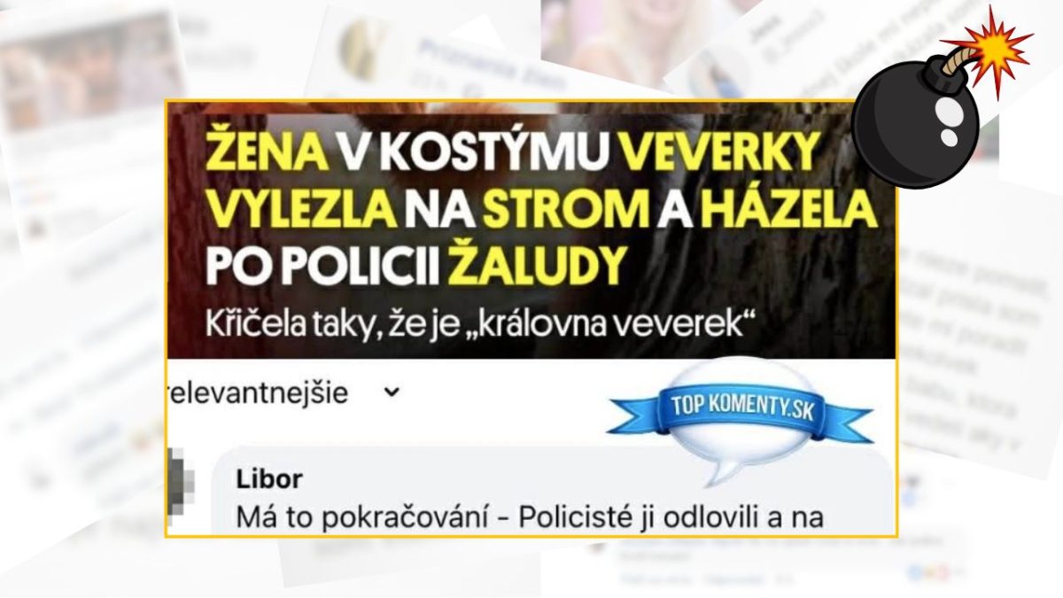 Žena v kostýme veveričky hádzala po polícii žalude zo stromu, tvrdila, že je kráľovná veveričiek. Doplnok top komentu.