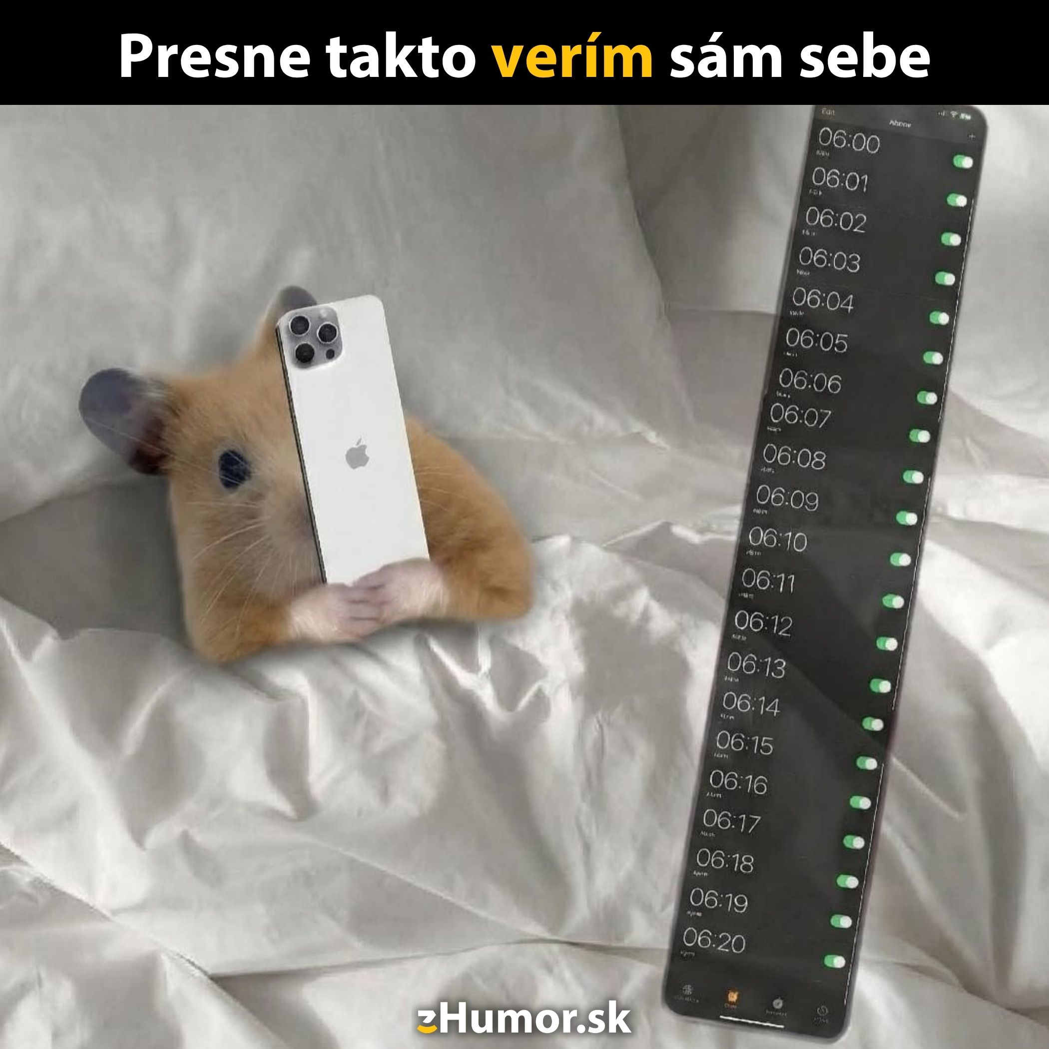 Myš s mobilom verí v ranné budíky, nastavené každú minútu od 6:00 do 6:20.