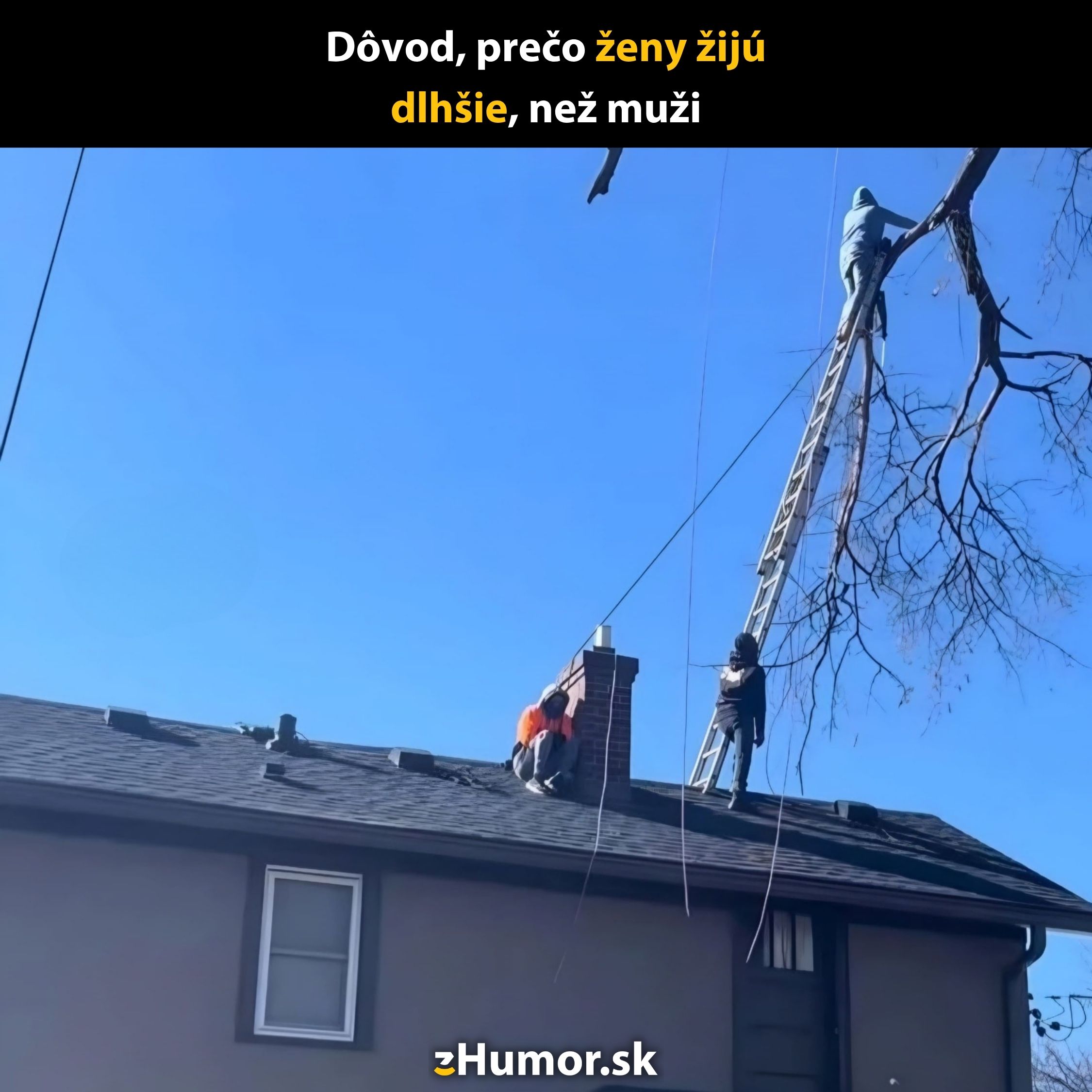 Muž na streche, rebrík na strome, modrá obloha, humorný popis na vrchu.