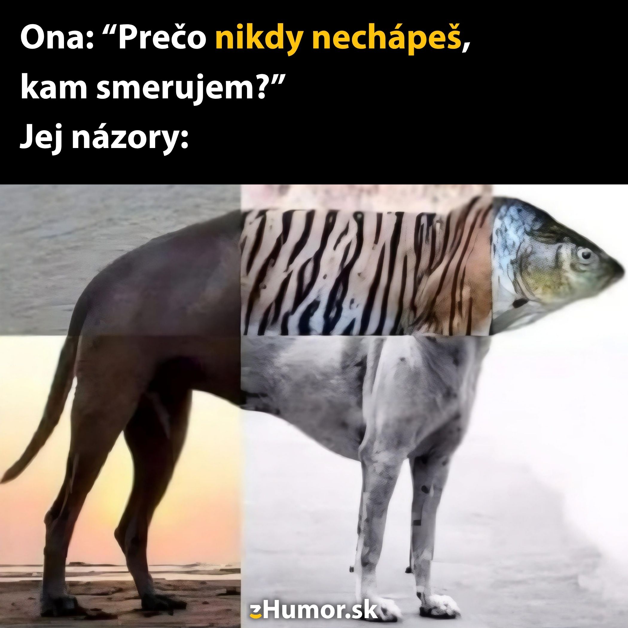 Žena sa pýta na chápanie jej smerovania, zobrazené vtipným obrázkom zmiešaných zvierat.
