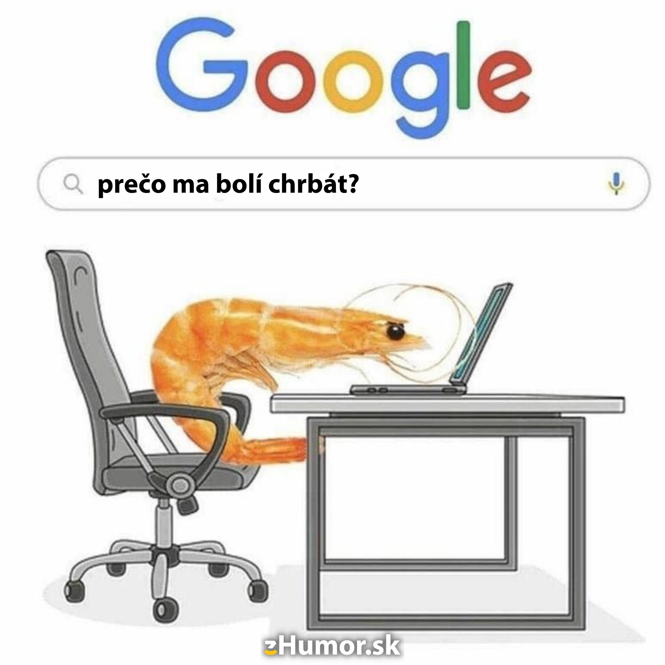 Kreveta sedí pri počítači a hľadá odpoveď na otázku prečo ma bolí chrbát? na Google.