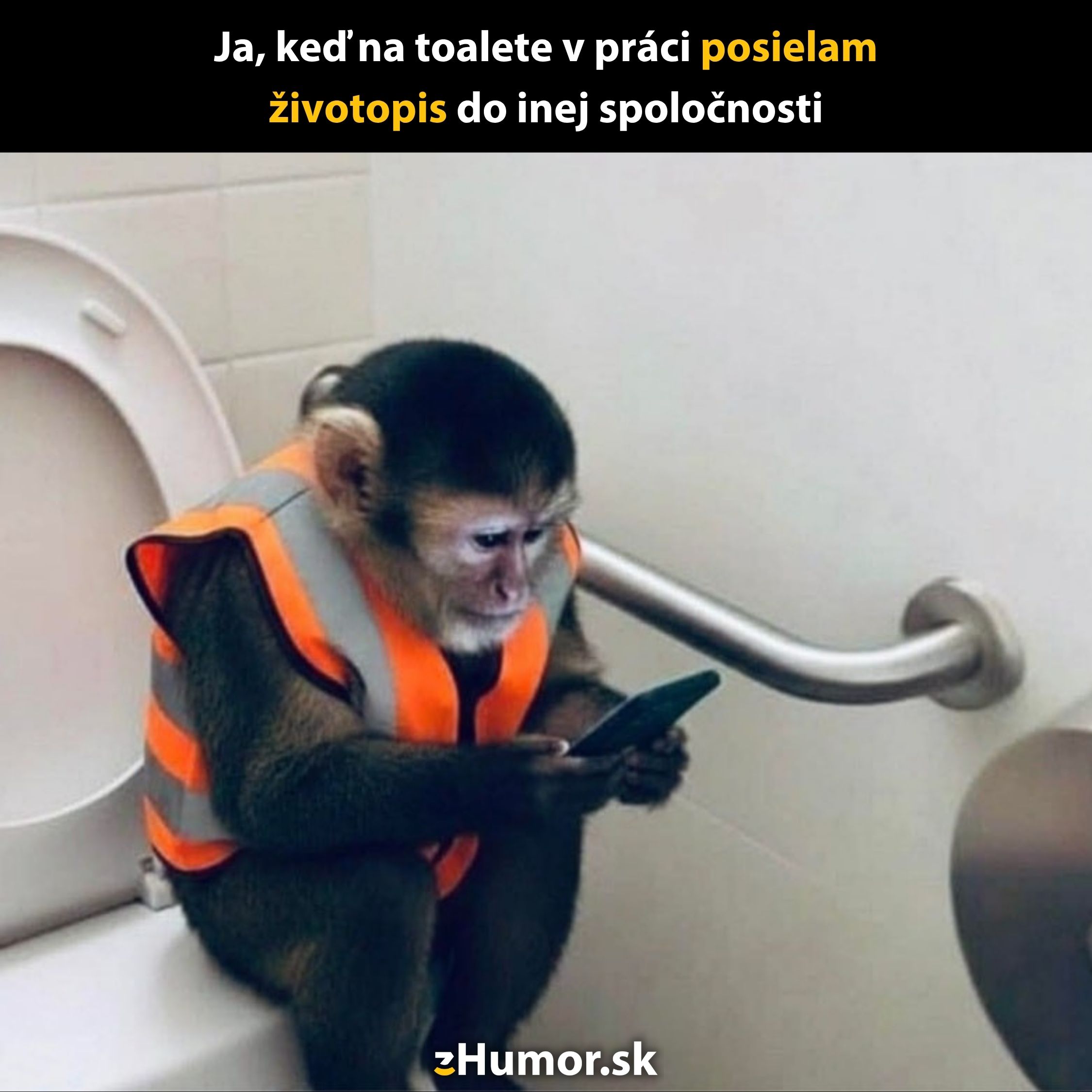 Opica v reflexnej veste sedí na toalete a pozerá sa na mobilný telefón.