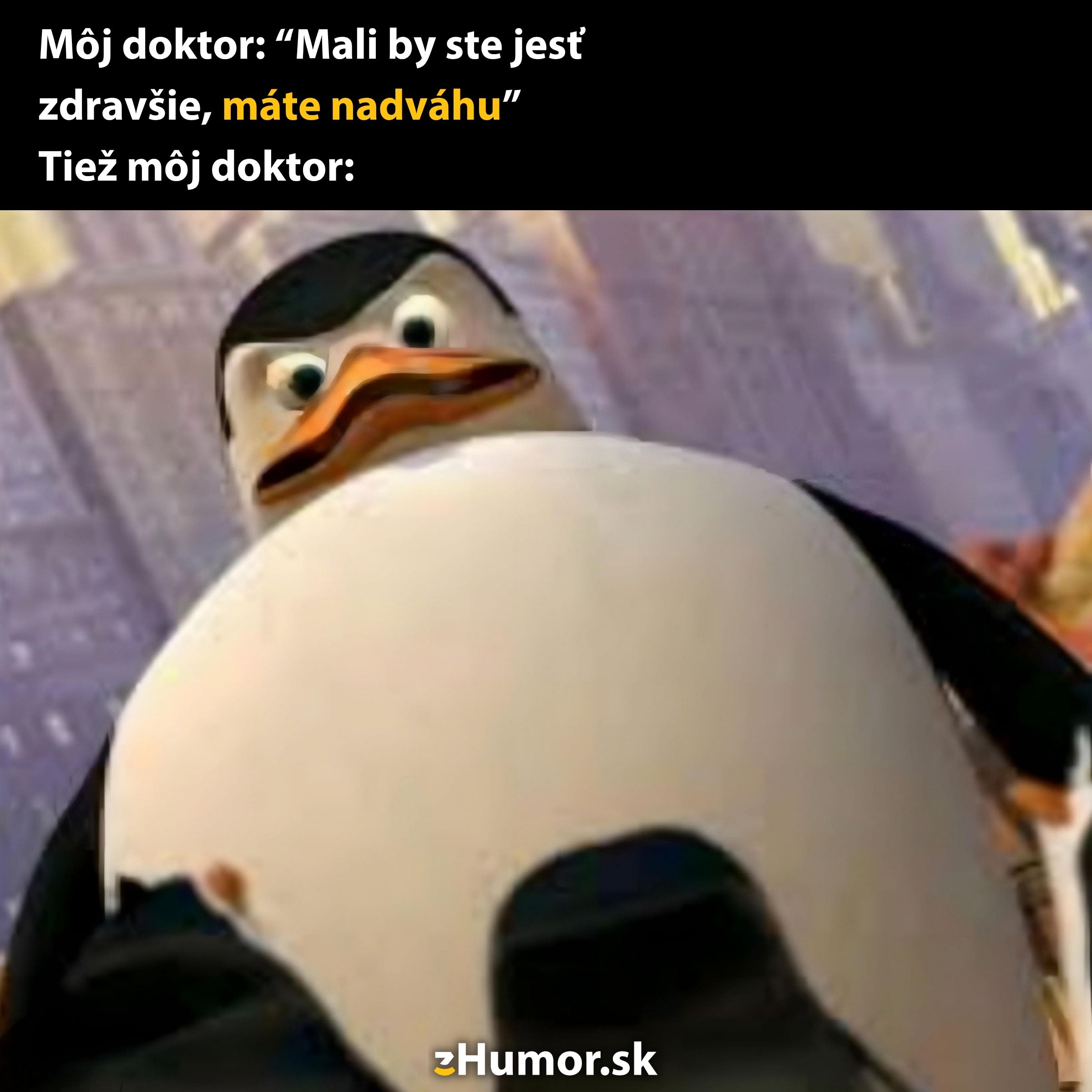 Tučniak vtipne reaguje na radu lekára o zdravej výžive.