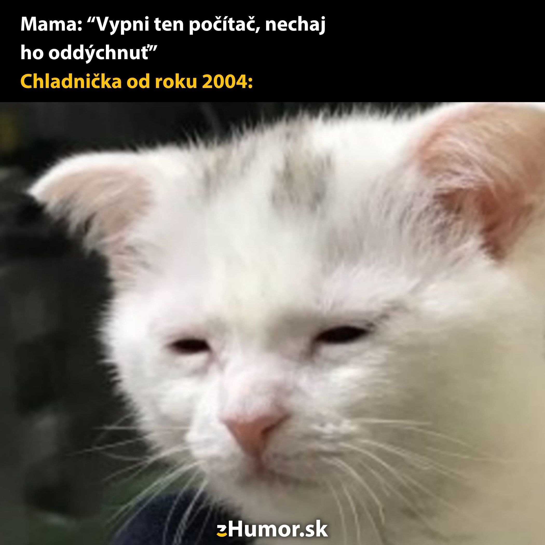Znudená mačka predstavuje neuvoľnene pôsobiacu chladničku vtipne porovnanú s oddychom počítača.