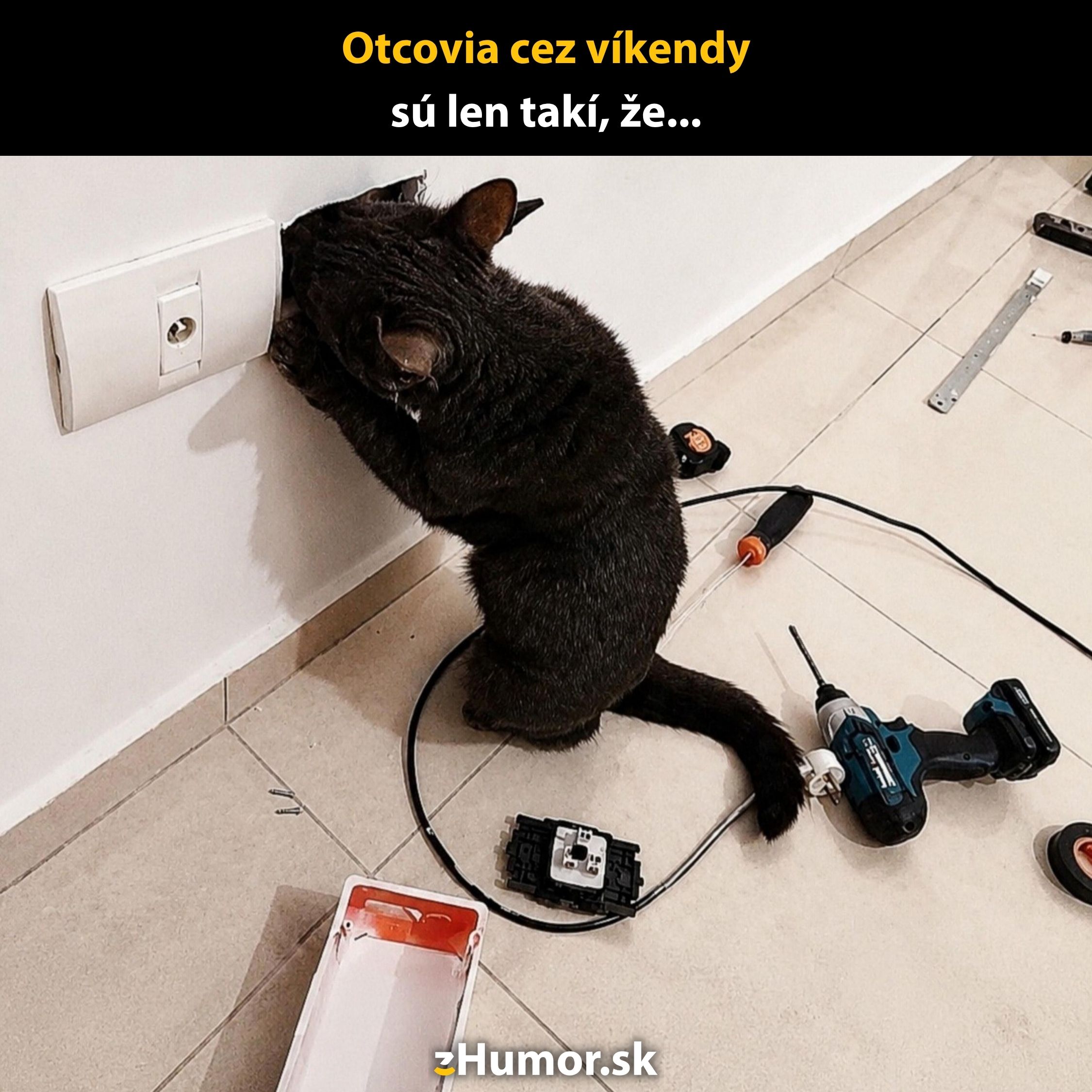 Mačka pri elektrickej zásuvke s náradím na zemi, zábavný pohľad na domácu opravu.