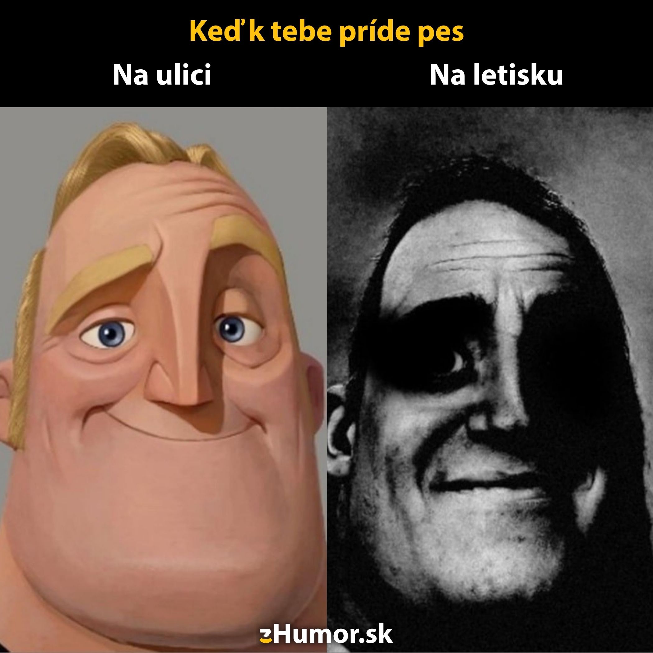 Úsmevná reakcia na psa v rôznych situáciách: veselá na ulici, vystrašená na letisku.