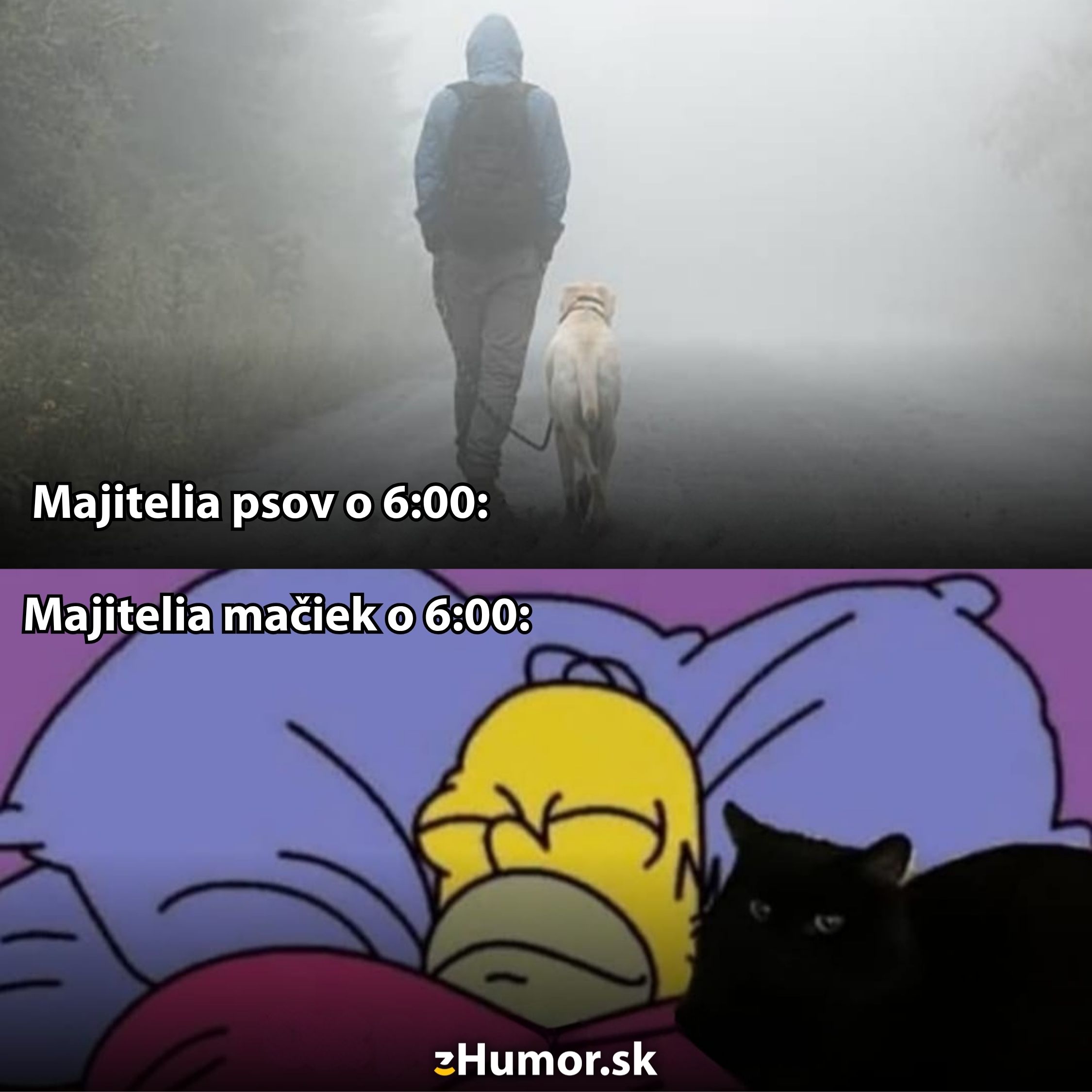 Majitelia psov verzus mačiek ráno: venčenie v hmle vs. spanie so zvieraťom v posteli.